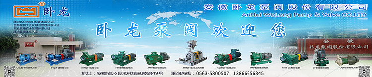 安徽卧龙氟塑料磁力泵