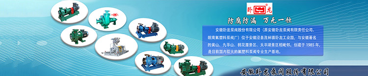 安徽卧龙化工泵