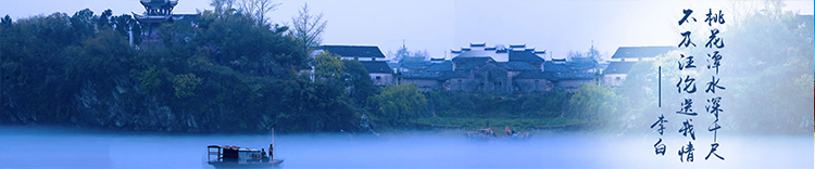 安徽卧龙液下泵